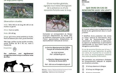 11-plaquette loup1